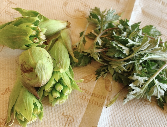 春の味覚 ふきのとう酵母 ふわふわのチーズあんパン 天然酵母パン教室 ぱん蔵 東京 山梨