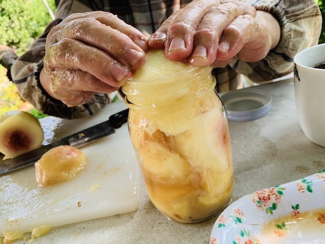 簡単 桃の瓶詰めの作り方 農家さんのとっておきレシピ 天然酵母パン教室 ぱん蔵 東京 山梨