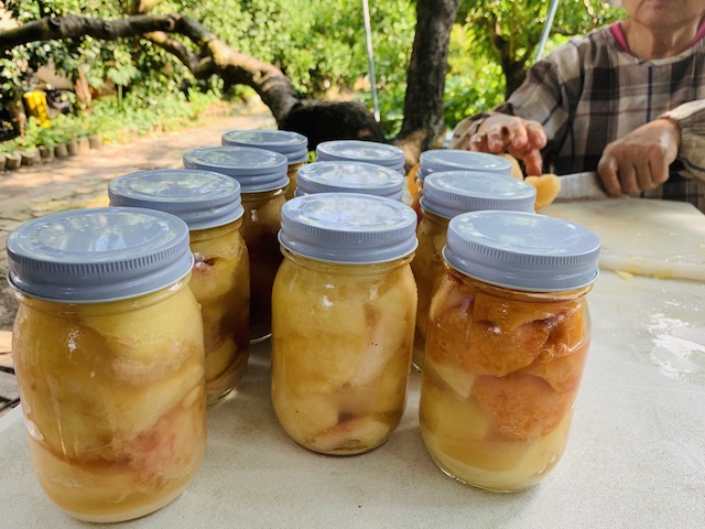 簡単 桃の瓶詰めの作り方 農家さんのとっておきレシピ 天然酵母パン教室 ぱん蔵 東京 山梨
