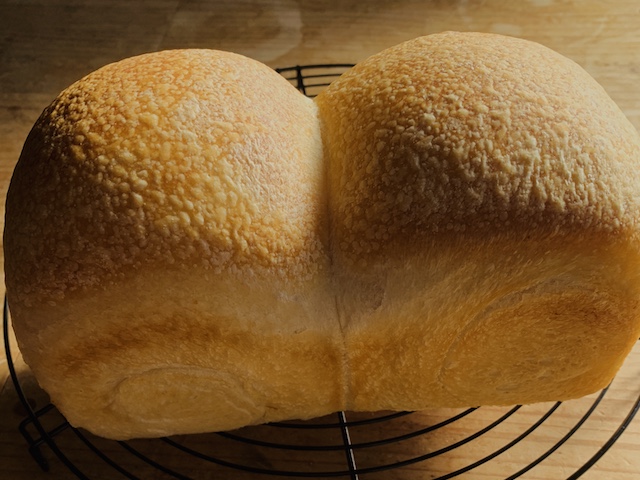 パン フィッシュ アイ パンの表面がブツブツ 梨肌 火ぶくれ になるのはなぜ 原因と対策を考えます 天然酵母パン教室 ぱん蔵 東京 山梨
