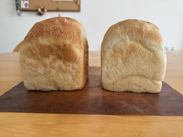 反対側から見た食パンの比較。左は春よ恋、右ははるゆたかブレンド